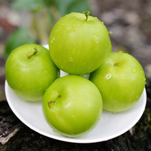 【活动】福建精品牛奶贵妃枣 1/5斤脆甜牛奶苹果枣当季甜新鲜水果