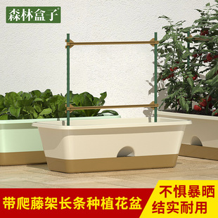 �¿��̨�N���莧���ټ܏S��ֱ�N�����L�l���ϷNֲ��Ӻ��p�ӻ���