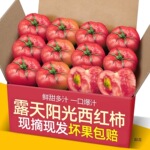 普罗旺斯5西红柿大番茄山东柿子铁皮水果沙瓤熟斤装非自然全年无