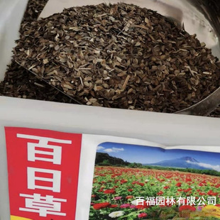 The Company Wholesale Zinnia Seeds, Step-Up Seeds, Four-Season Grass Flower Seeds, House Courtyard Park Flower Sea Seeds