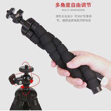 ���z�D��y��׃����;�p�@����ֱ�����~֧�� EVA���ް�צ�~���_��