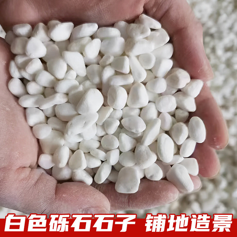 White Pebbles for Courtyard Paving, Garden Paths, White Gravel for Municipal Projects, Garden Landscape Decoration, and Landscaping with White Rice Stones