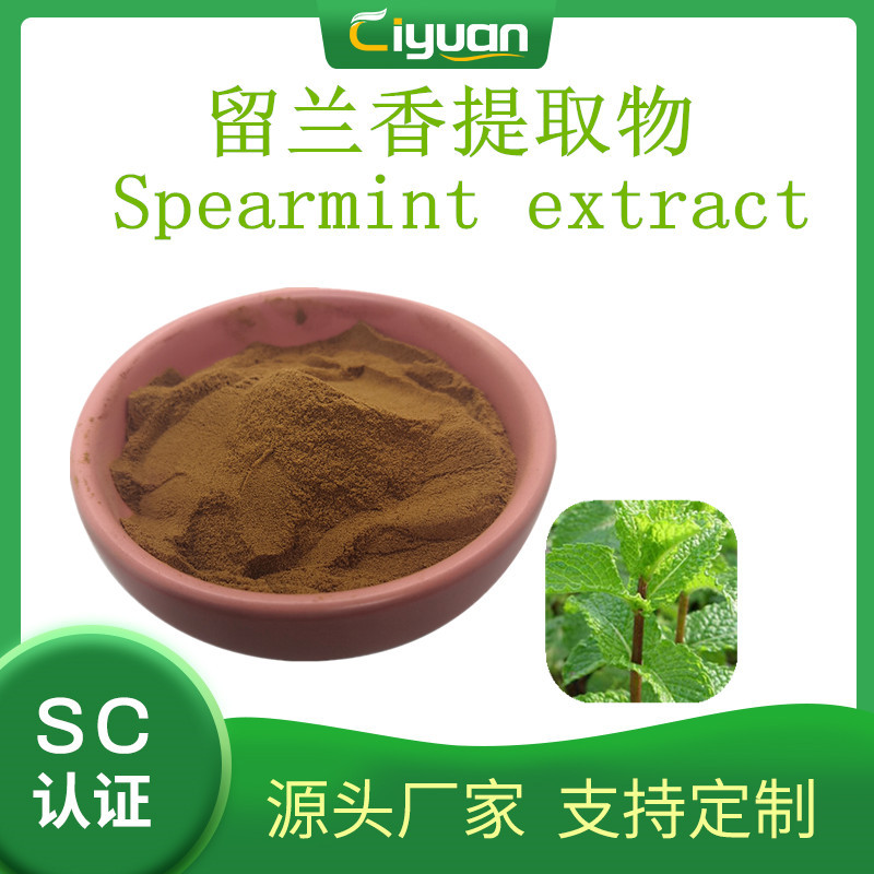 留兰香提取物Spearmint extract绿薄荷粉 留兰香粉留兰香提取现货