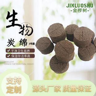 ��������̿�d�Nֲ���d�o��������|�������dǤ�庣�d�I�B�Nֲ��