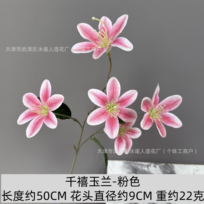 목련 5개