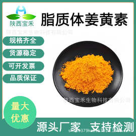 脂质体姜黄素 50%70%  纳米包裹包埋458-37-7 姜黄素脂质体原料