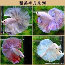 ���~̩�����װ���ҹ�Д[��С�~�ͻ������^�p�~��β���^�p�~������