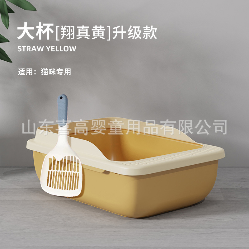 빅 컵 [시앙 젠 황]-업그레이드