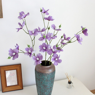 7�^��ɣ����˹�շ��滨�����ٻ���c����b[���m���S�����l