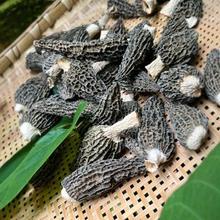 精选羊肚菌短柄干货四川特产头茬新货羊肚菌4-6cm煲汤批发500克