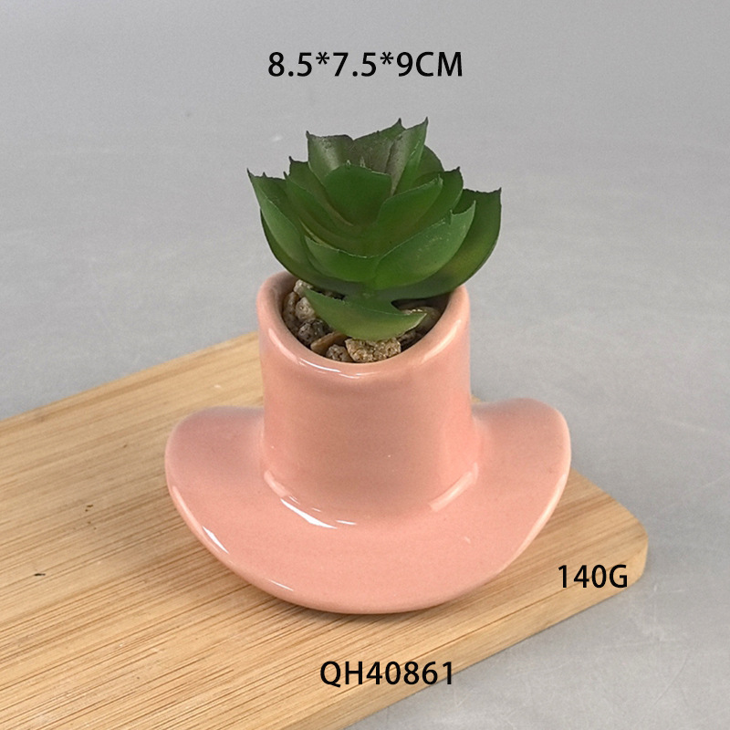 Jardinería transfronteriza, animales amazónicos, suculentas, macetas de cerámica, dibujos animados, lindos adornos de personalidad, se pueden colgar