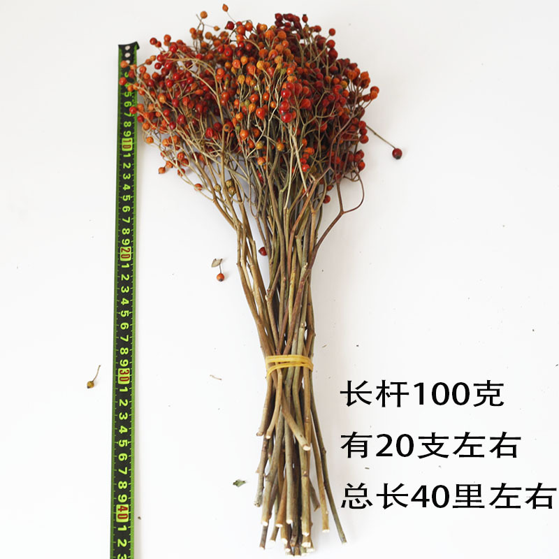 Flor seca Flor eterna Gypsophila Bola de oro No me olvides Flor seca Rosa hoja de eucalipto Pine Fruit Lover Grass al por mayor