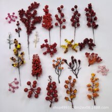 �������������װ�β��ϸɻ�����DIY����԰���������������֦