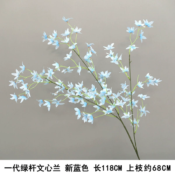 One generation of green rod Wenxinlan new blue