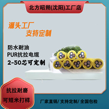 lPURA| ~Iе|aS҃r񃞻