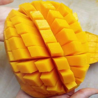 Hainan Jinhuang Narcissu Season fresh Tropical fruit Mango Place of Origin One piece On behalf of