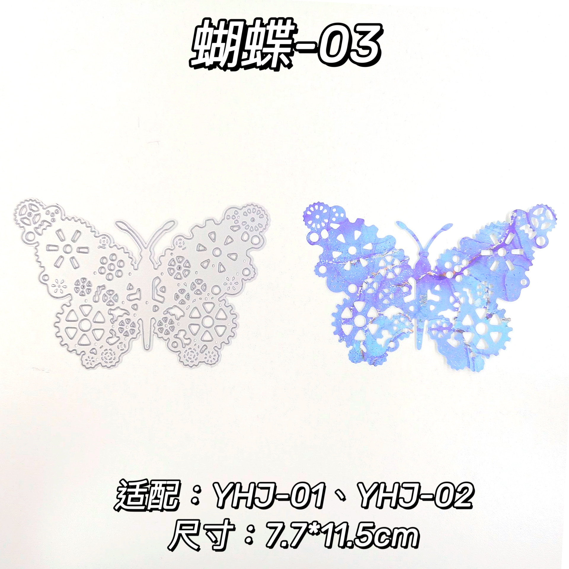 DM-butterfly-03