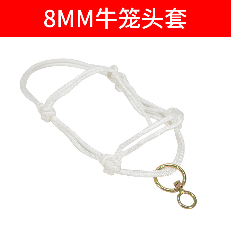 Cabeza de jaula de buey, cuello de buey, cuello de buey