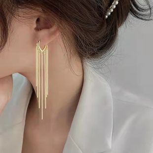 Long metal tassel earrings Korean style new ins style simple all-match personalized temperament textured earrings