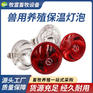 �i�ñ��؟����r�F�ß����Bֳ���������iС�u�ӟ῾���Bֳȡů����