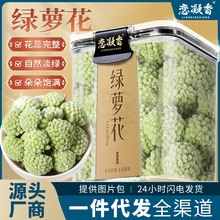 恋凝香绿萝花官方正品精选绿萝绿罗叶雪丽花泡水喝花草茶罐装70克