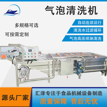 全自动喷淋式蓝莓气泡清洗机 苹果气泡清洗机 不锈钢果蔬清洗机