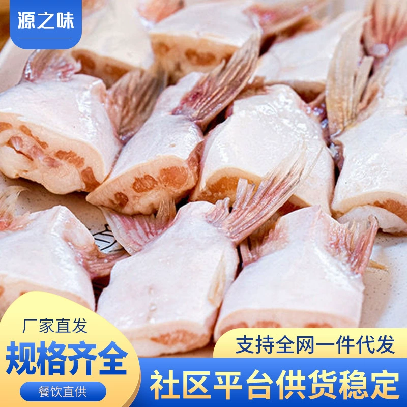 Свежезамороженные плавники рыбы Basa Коммерческие морепродукты Mater Fin Задний плавник акулы Свежие морепродукты Водные оптом