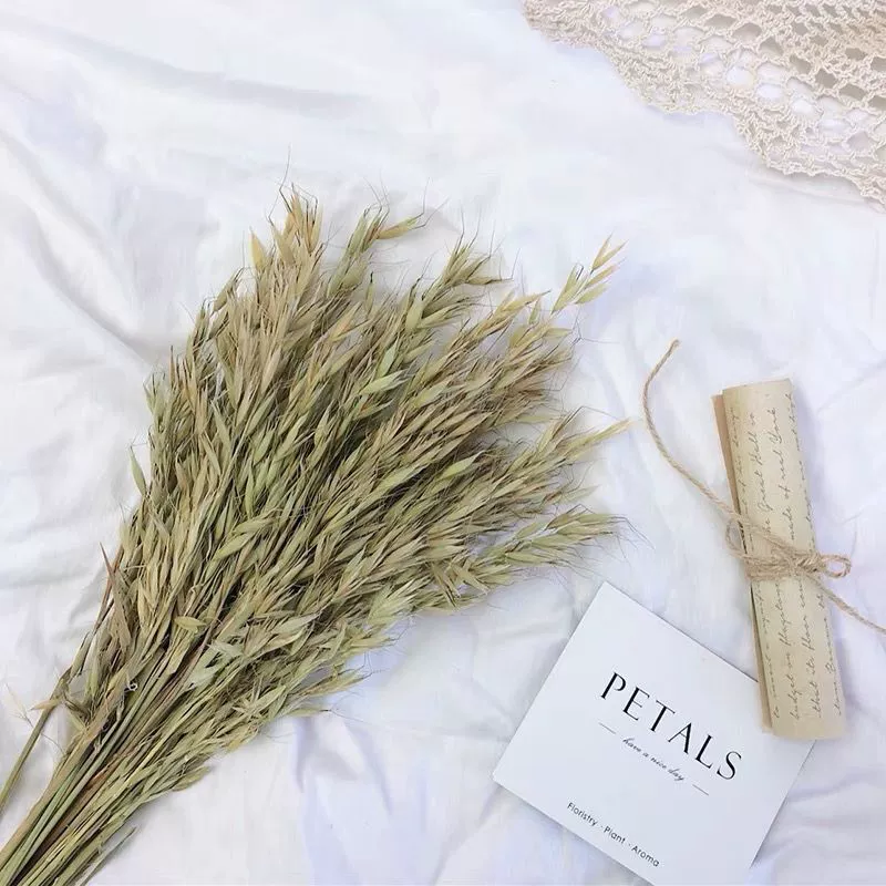 Овсянка Рис Белые сухоцветы Букет Ваза Украшение для гостиной Цветочный Аранжировка Настоящий цветок Реквизит для съемки Amazon Внешняя торговля