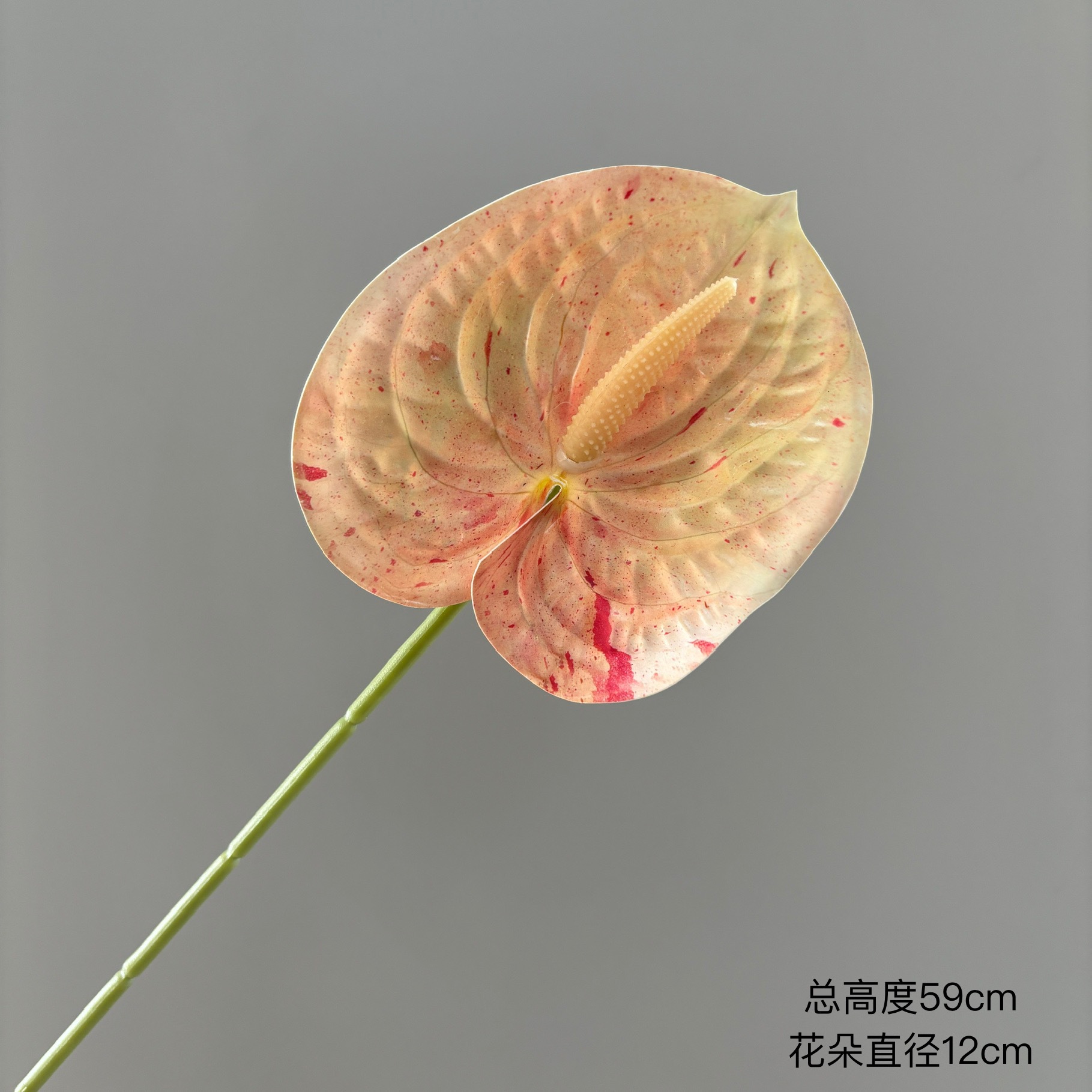 손바닥