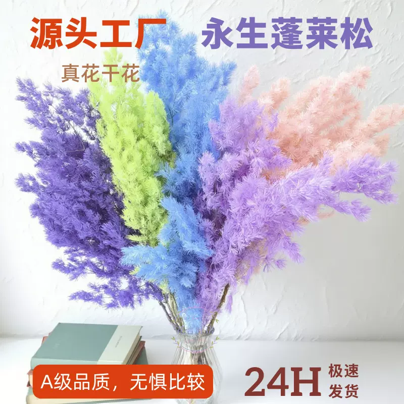 永生蓬莱松雪松干花真花diy婚庆花卉永蝴蝶永生花DIY材料工厂直发