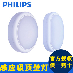 �w����Philips���m�ڟ�WL008C�E�AС�����15W���Թ�LED��픟�