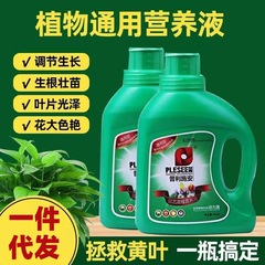 養液、植物養液、ポトス葉、家庭用緑植物花肥料、鉢植え富竹、一般超濃縮水耕栽培