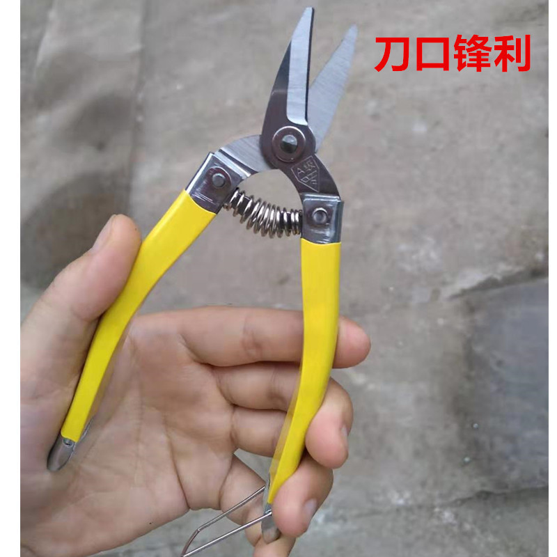 详情图
