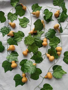 ��ȻС���J�b���G�~�ٗl�Gֲ�G�~��픹ܵ��b��p�@�����~�b�