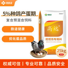 ��ϣ������ 5%�N���a���ڏͺ��A������
