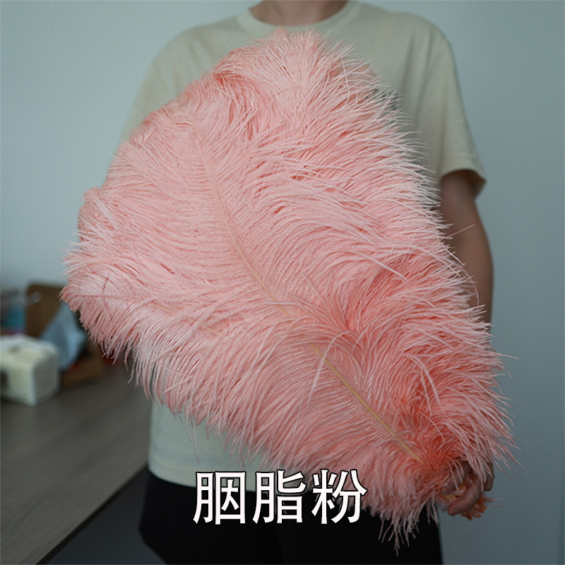55 - 60cm plumas de avestruz de Sudáfrica al por mayor accesorios de ropa DIY accesorios materiales accesorios de diseño de boda lana de avestruz