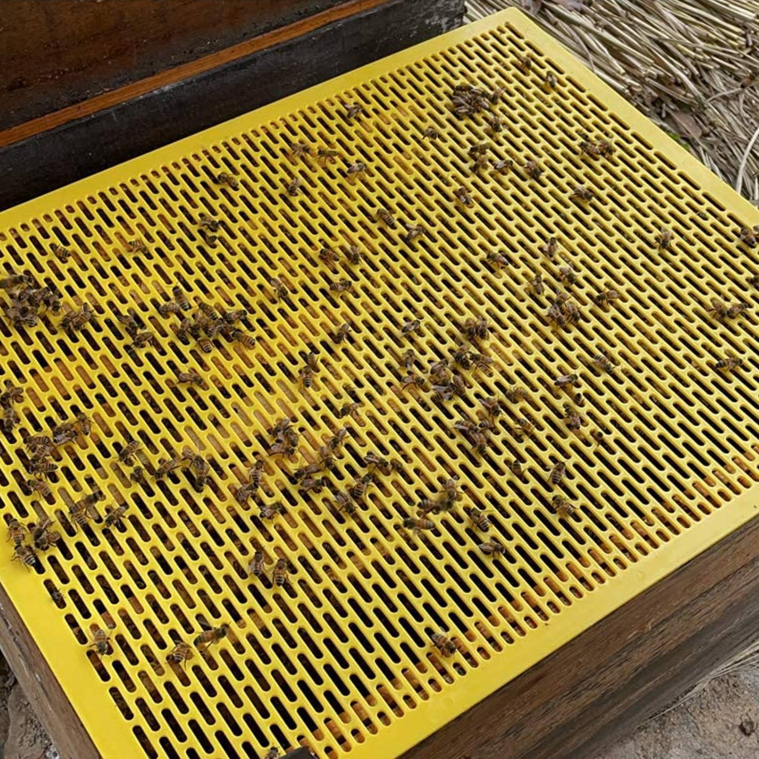 O1CN01V09AJI1MF5BPBEnIc_!!2212061301404-0-cib.jpg?__r__=1763971583955