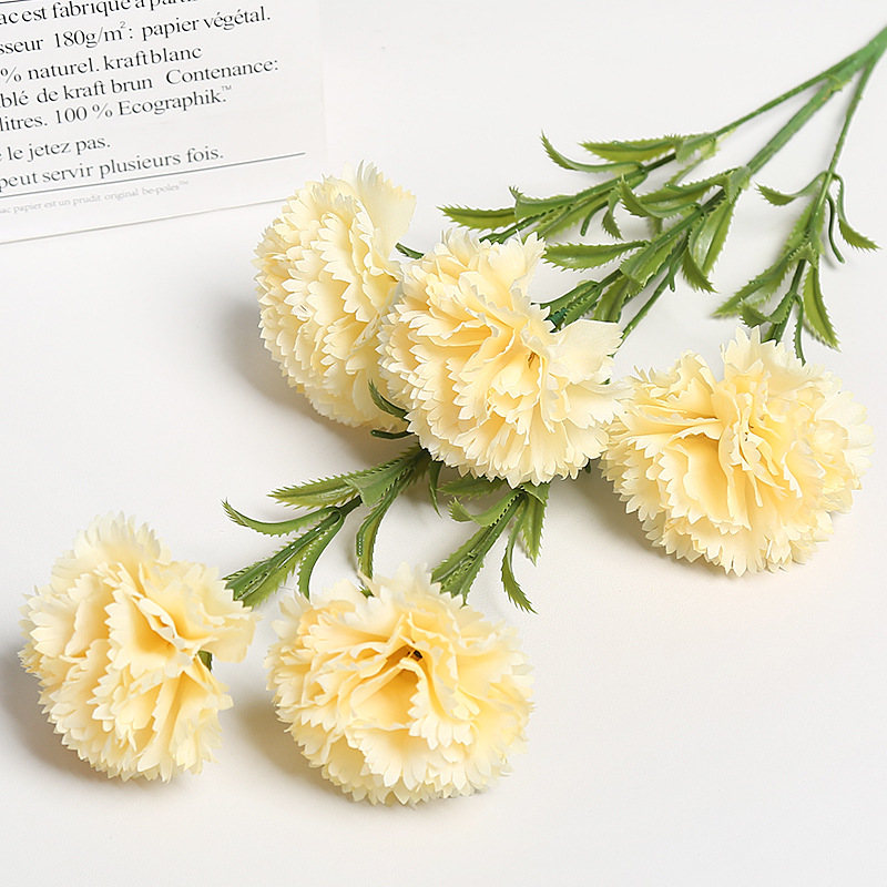 샴페인 컬러 카네이션 5개