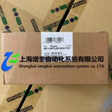 2903342 RIF-1-RPT-LDP-24DC/1X21 - �����˹�̵���ģ��