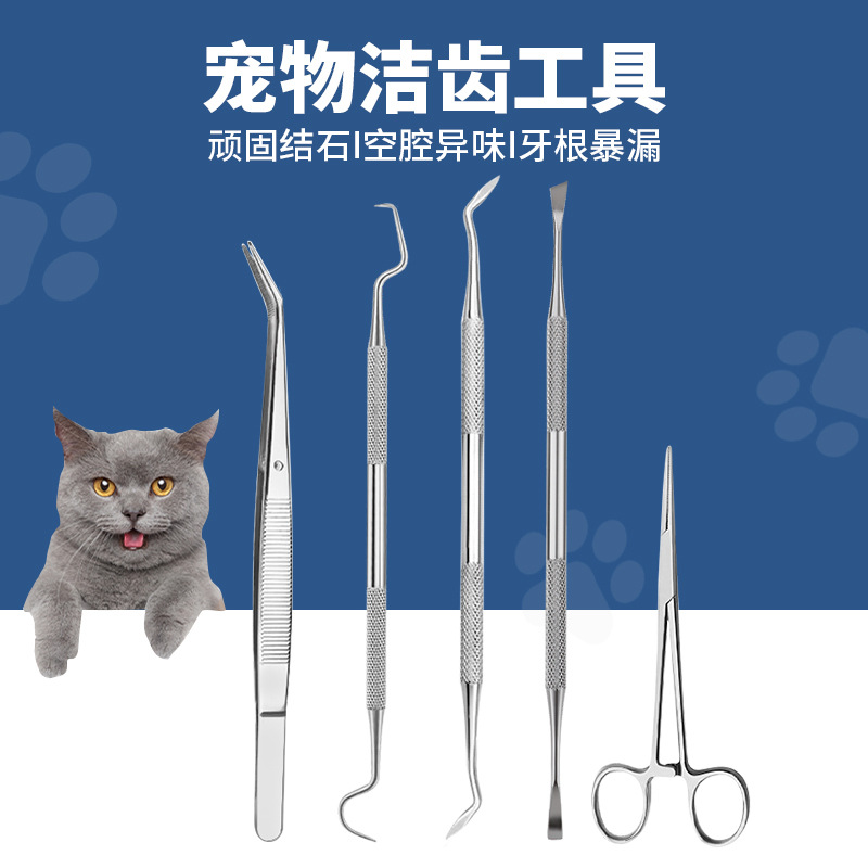 廠家不鏽鋼探針雙頭牙結石剔除器鋤型潔齒器寵物牙科口腔清潔工具