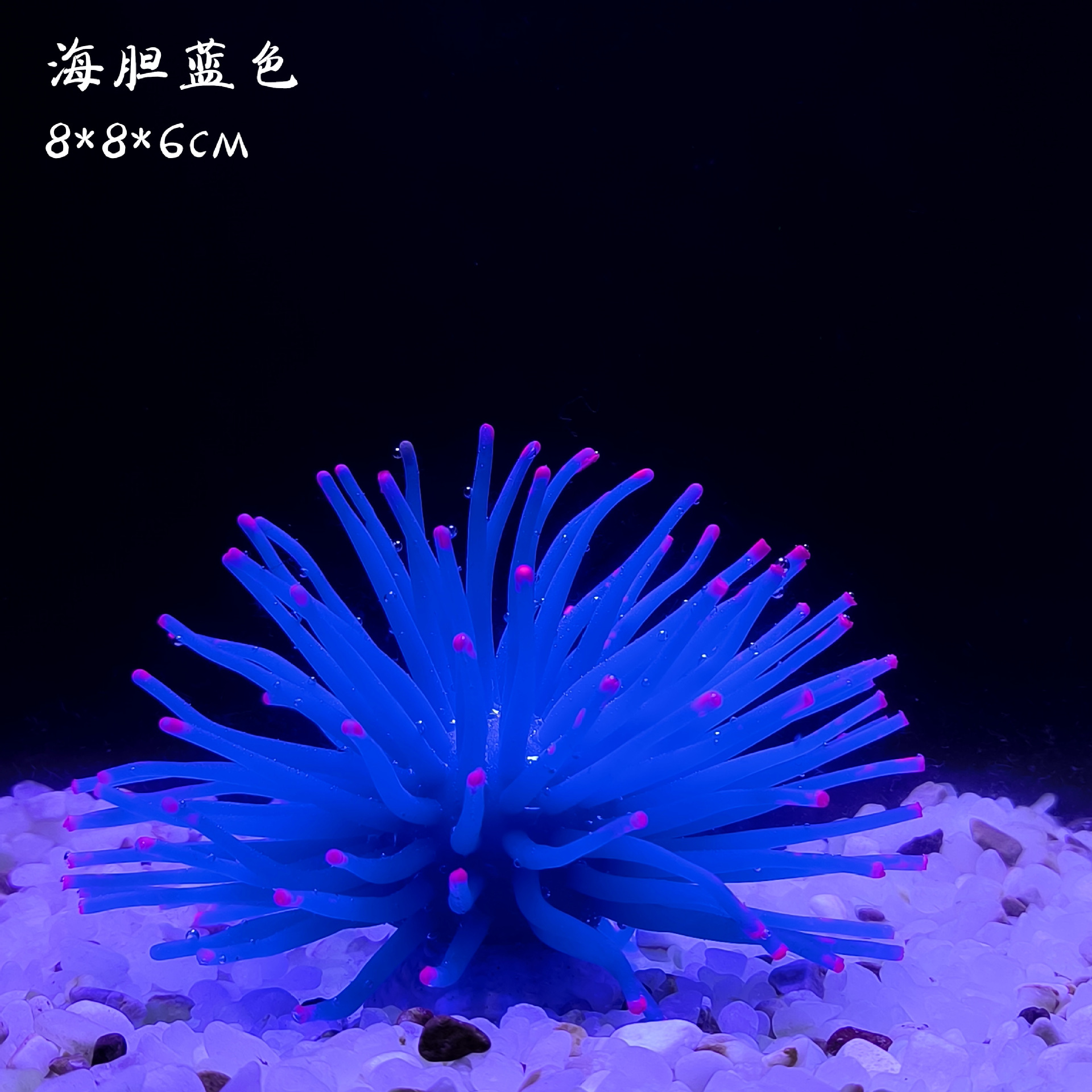 Promoción 172m azul