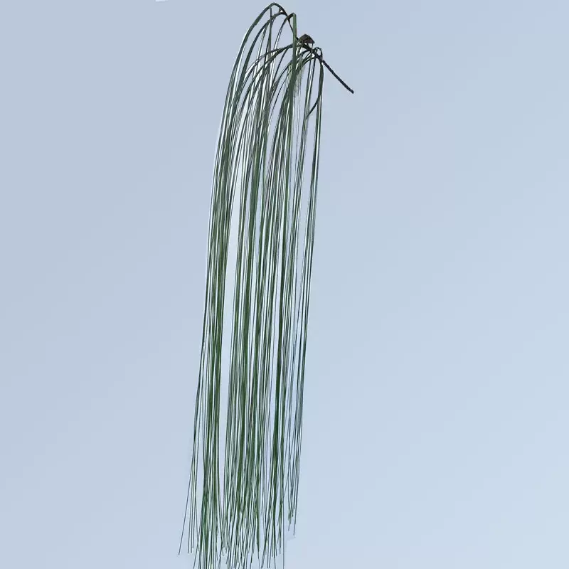 仿真植物垂柳绿植柳树叶工程园林造景装饰假垂柳厂家批发一帘幽梦