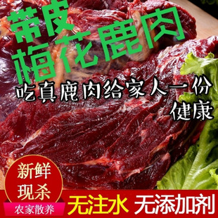 ���r¹����1�Ｊ��ɢ�B÷��¹����������r¹����S���]