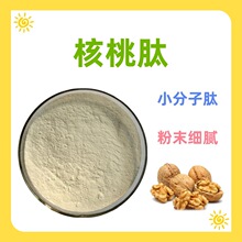 ������  ������ ��NҎ�� ���xԭ��  Ʒ�|���� ����ă�