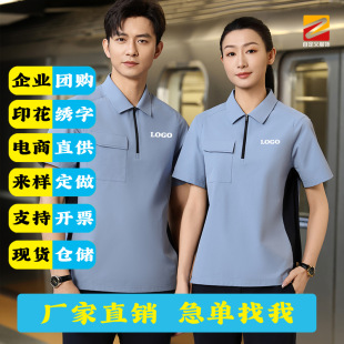 Summer Workwear T-Shirt Lapel Polo Shirt Corporate Advertising Cultural Shirt Group Workwear Printed Logo Embroider 8091