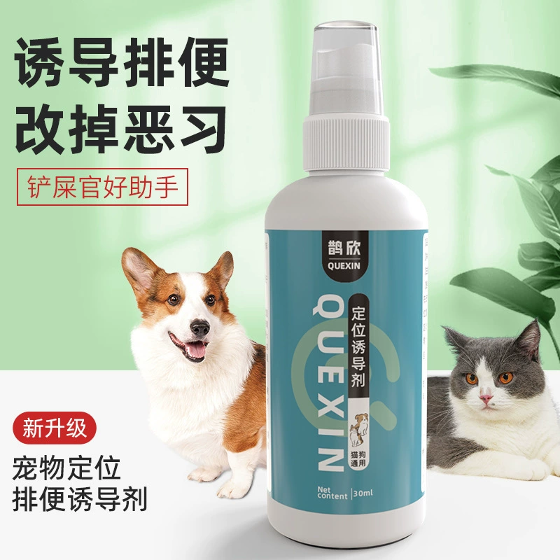 Собака сходить в туалет с фиксированной точкой индуктора дефекации туалета с фиксированной точкой дефекации