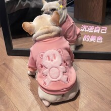 宠物加绒卫衣带帽秋冬新款潮牌雪纳瑞泰迪比熊防寒加厚猫咪衣服