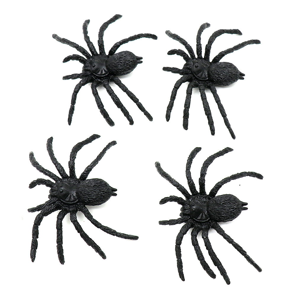 중간 거미 (7.5x5cm)1