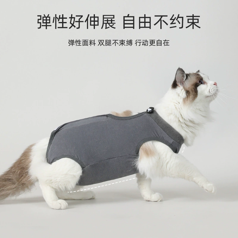 Трансграничная модельская стерилизация домашних животных