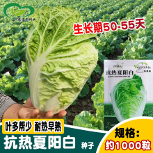 �Ѓ�������ꖰ״�ײ˷N�������͟��~�����ٻ�偲� �͟��ײ�